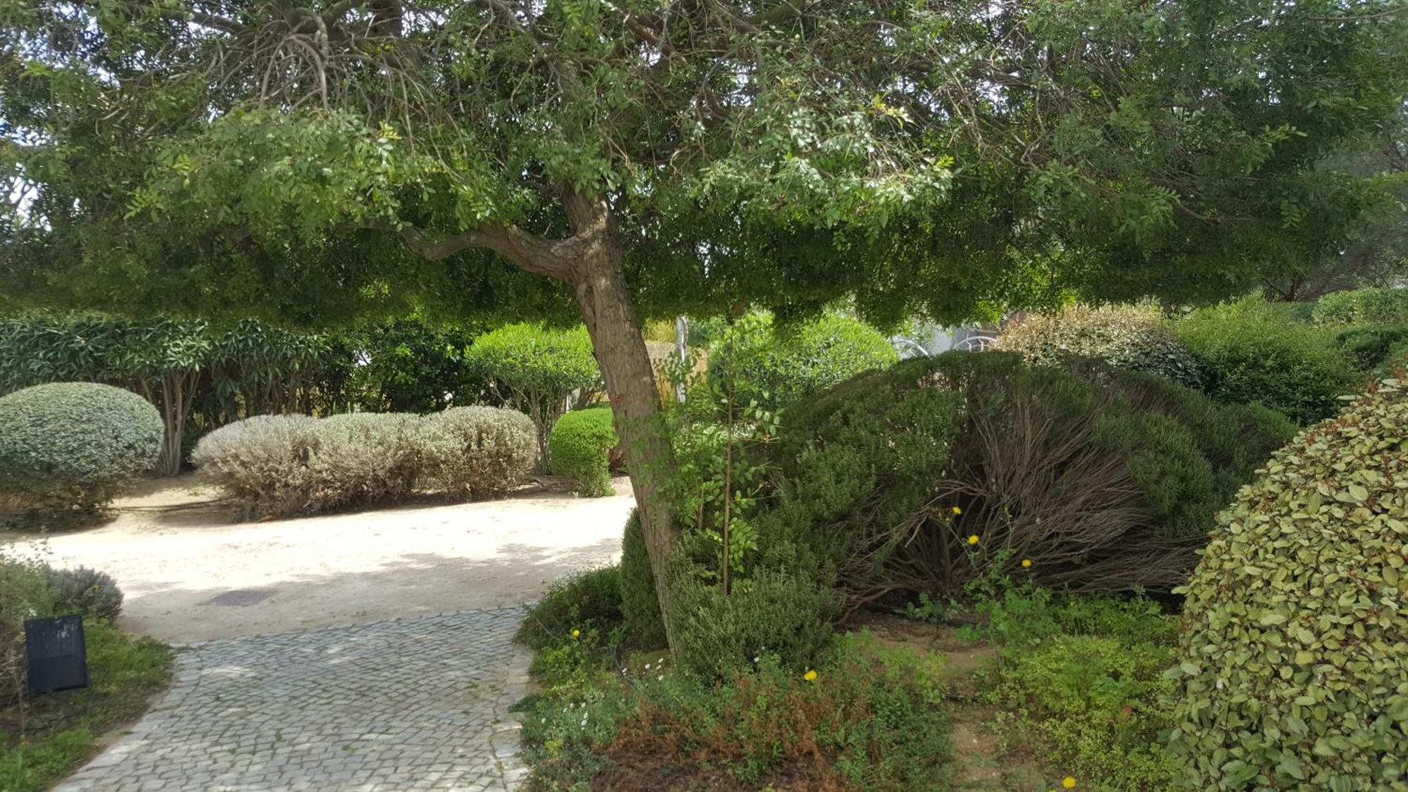 Cabanas Green Apartment & Loft. Cabanas De Tavira Ngoại thất bức ảnh